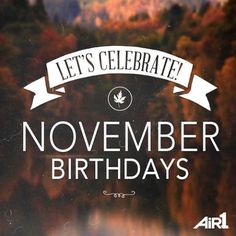 Happy November Birthday! - The Mortimer Arms Paultons Park New Forest